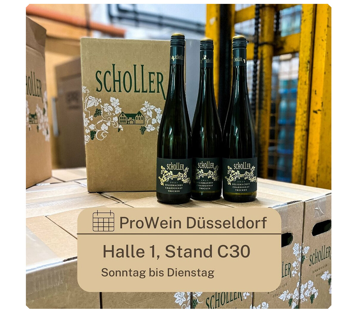 Bild - ProWein Düsseldorf | © Weingut Scholler