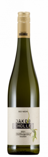 Bild Weißburgunder  BIO | © Weingut Scholler